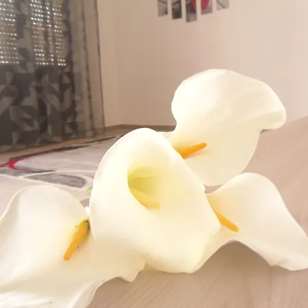 住宿加早餐酒店 Italia Milis