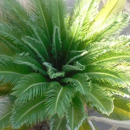 Bed & Breakfast Italia 3*