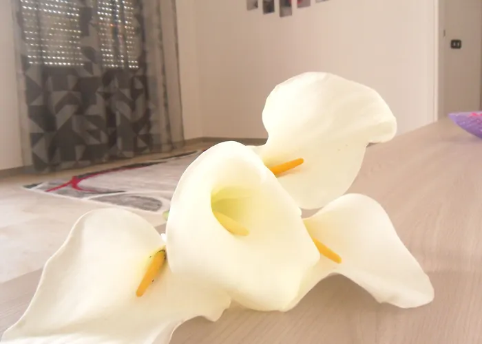 Bed & Breakfast Italia Milis