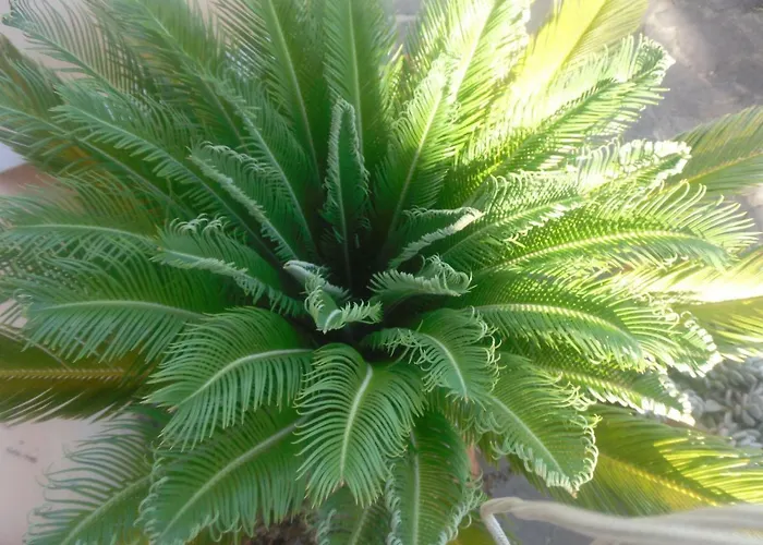 Bed & Breakfast Italia 3*